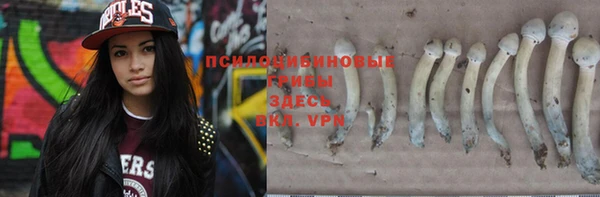 соль ск Козельск